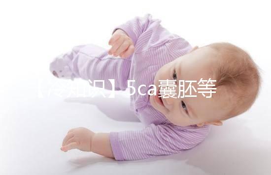 【冷知識(shí)】5ca囊胚等級(jí)低,質(zhì)量并不能代表成功率