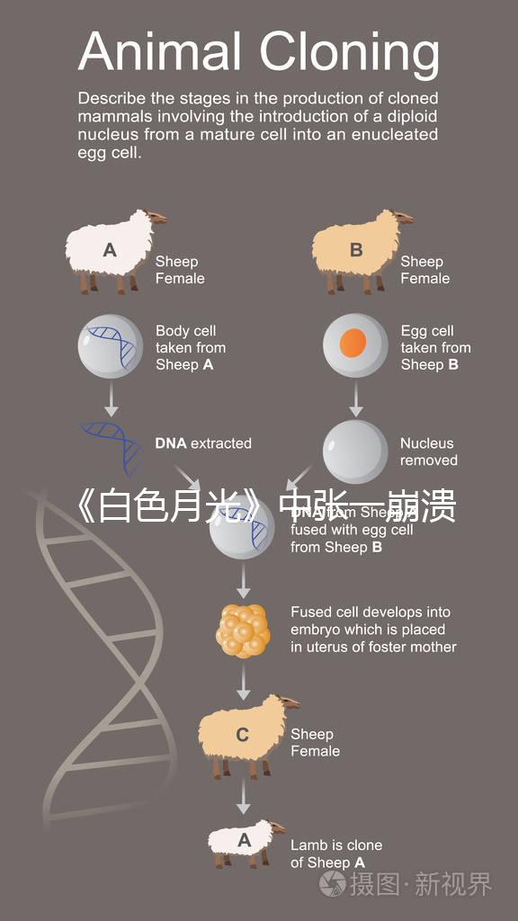 《白色月光》中張一崩潰在孩子面前哭，你認為該不該？
