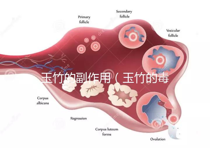 玉竹的副作用（玉竹的毒性有多強？）
