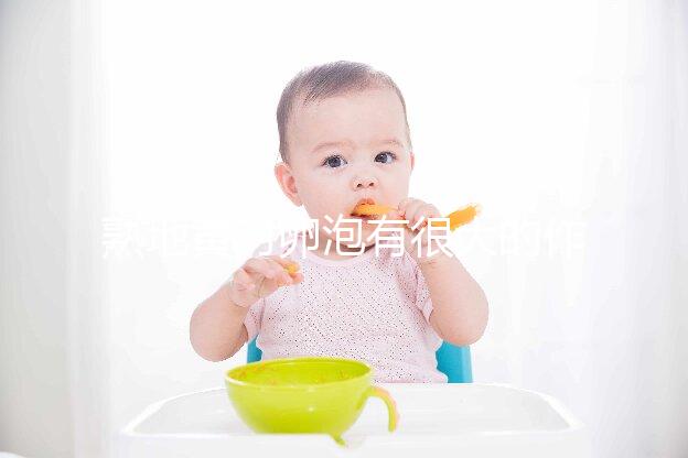 熟地黃對卵泡有很大的作用和作用能否改善性功能？