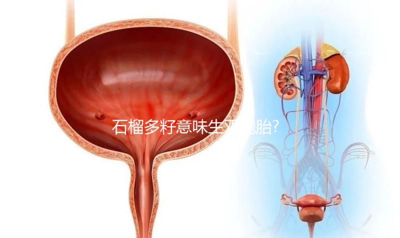 石榴多籽意味生雙胞胎?盤點(diǎn)孕婦夢(mèng)見(jiàn)石榴的意思