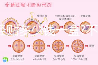 痛經貼多少錢一盒?不同品牌痛經貼價格盤點