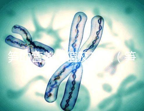 筍的營養價值及功效（筍的營養價值及功效與作用）