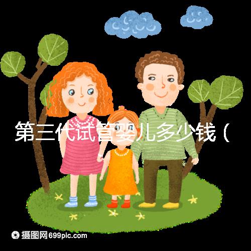 第三代試管嬰兒多少錢（第三代試管嬰兒多少錢一次）