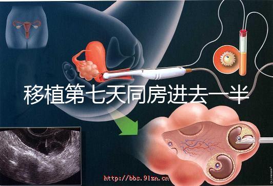 移植第七天同房進去一半有無影響戳，沒出血問題就不大