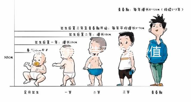 精子檢查報告正常參考值圖例分析，關注這3項指標就夠了