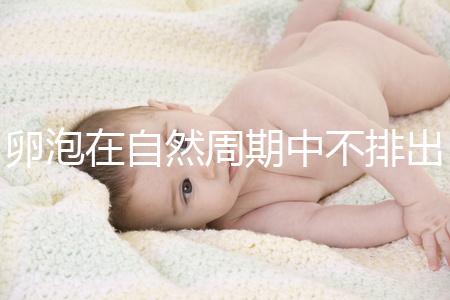 卵泡在自然周期中不排出可以移植快速get嗎？取卵好看嗎？