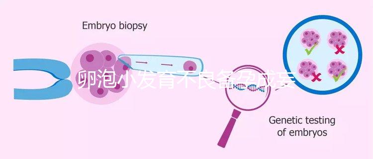 卵泡小發育不良備孕成妄想，閉鎖卵泡早檢查早治療