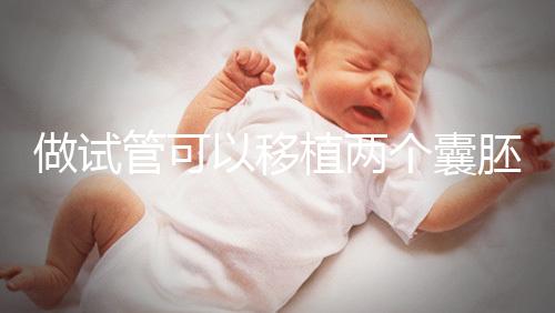 做試管可以移植兩個(gè)囊胚嗎？