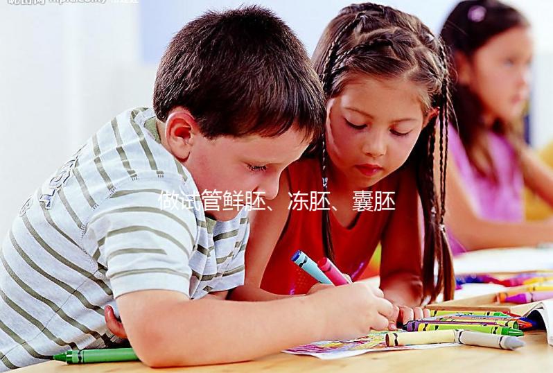 做試管鮮胚、凍胚、囊胚有什么區別？移植哪種成功率更高？