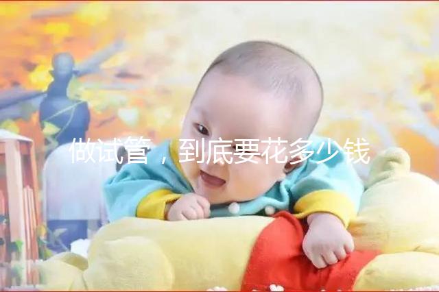 做試管，到底要花多少錢？！??！