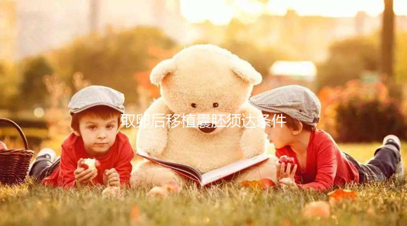 取卵后移植囊胚須達(dá)條件!至少要達(dá)到這3個標(biāo)準(zhǔn)