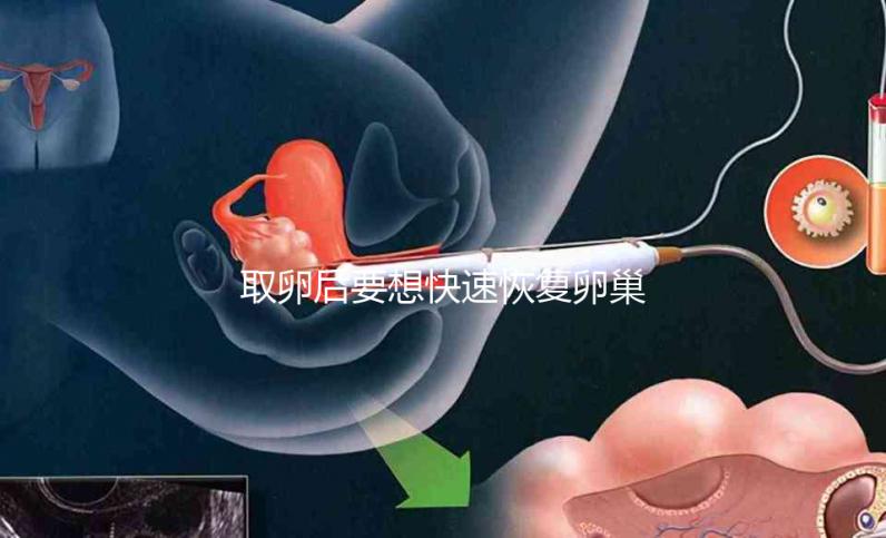 取卵后要想快速恢復(fù)卵巢，這8個(gè)方法絕對(duì)有效！