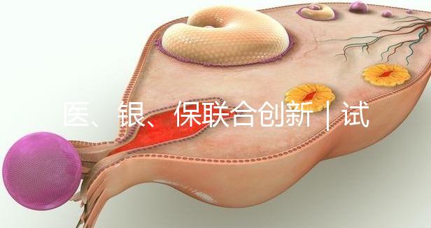 醫(yī)、銀、保聯(lián)合創(chuàng)新｜試管嬰兒保險(xiǎn)套餐及銀行專項(xiàng)分期助孕在我院率先落地！
