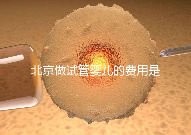 北京做試管嬰兒的費用是多少錢？詳細流程是怎樣的？