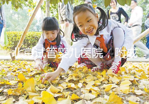 北京試管嬰兒醫院，附成功率、費用