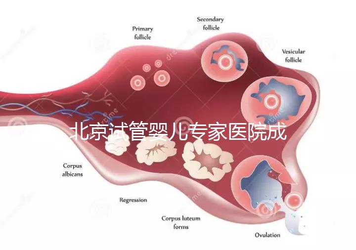 北京試管嬰兒專家醫院成功率高嗎，醫院推薦與費用解析
