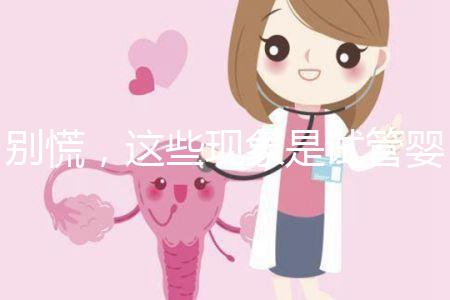 別慌，這些現象是試管嬰兒移植后的正常反應