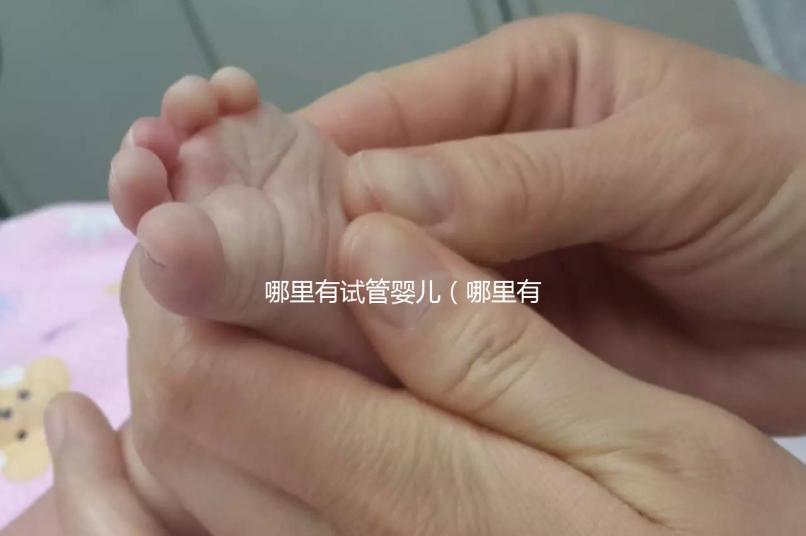 哪里有試管嬰兒（哪里有試管嬰兒的醫院）