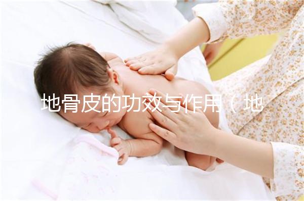 地骨皮的功效與作用（地骨皮的功效與作用與主治）