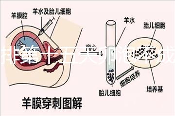 促排第十五天卵泡不成熟還可以治療！1.2等幾天就能長(zhǎng)大