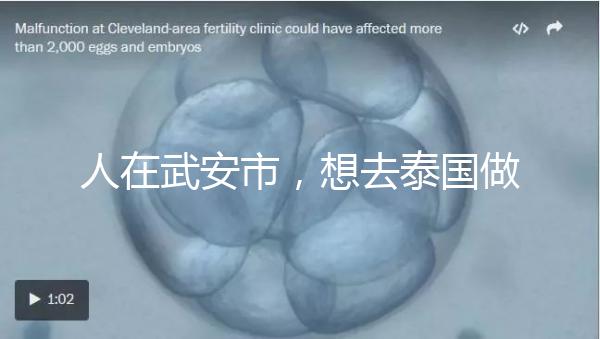 人在武安市,想去泰國做試管嬰兒生男孩要花多少錢?