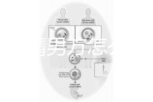 人工授精男方怎么取精?2種取精過(guò)程分別適合不同人群