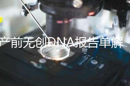 產(chǎn)前無(wú)創(chuàng)DNA報(bào)告單解讀：三項(xiàng)結(jié)果竟然暗示寶寶性別