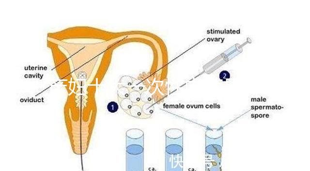 產婦十大一次性內褲品牌排行揭曉，全棉時代質量如何看這