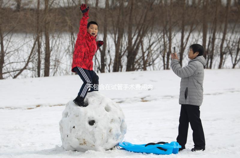 不包含在試管手術費用內!單雙腔取卵針價格自費