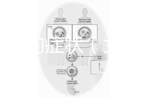 不孕癥的癥狀(女性不孕不育十大特征)