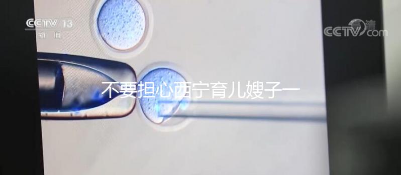 不要擔(dān)心西寧育兒嫂子一個月多少錢，關(guān)心機構(gòu)是否正式