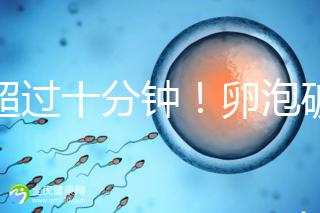 不超過十分鐘!卵泡破裂到輸卵管的時(shí)間,備孕必收藏