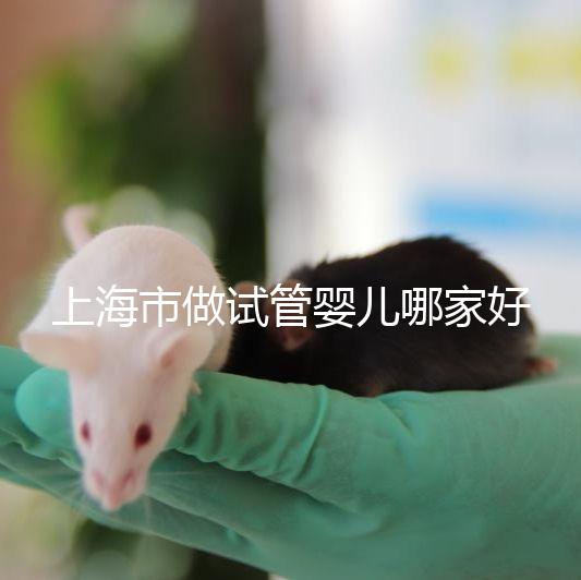 上海市做試管嬰兒哪家好?2025年權威醫院排名與成功率詳細對比