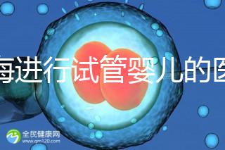 上海進行試管嬰兒的醫院排名