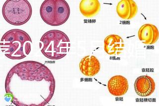 推薦2024年5月結婚的良辰吉日，最吉利的要數…