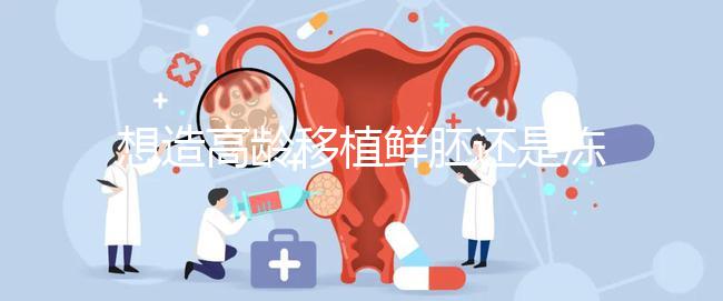 想造高齡移植鮮胚還是凍胚好請進，關(guān)鍵看身體適不適合