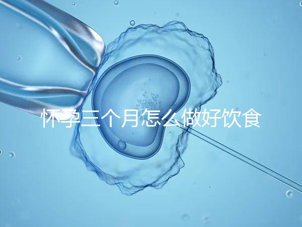 懷孕三個月怎么做好飲食安排？
