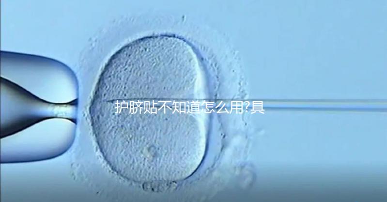 護臍貼不知道怎么用?具體使用方法分享