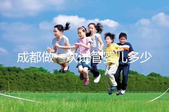 成都做一次試管嬰兒多少錢啊