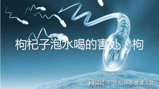 枸杞子泡水喝的害處（枸杞泡幾個小時后不能喝）