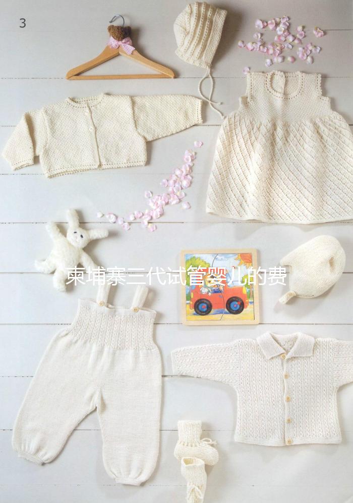 柬埔寨三代試管嬰兒的費用、成功率、流程一文說明！