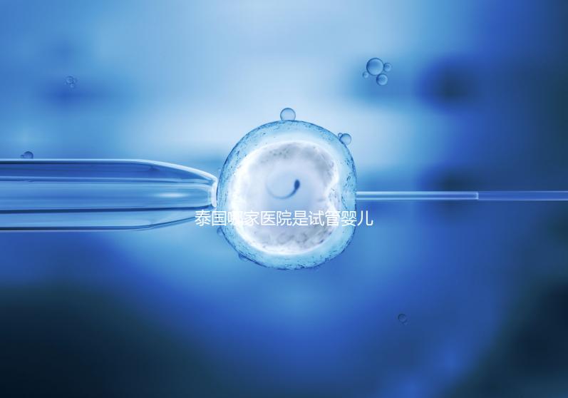 泰國哪家醫(yī)院是試管嬰兒最強大的醫(yī)院？這五家公司最受歡迎