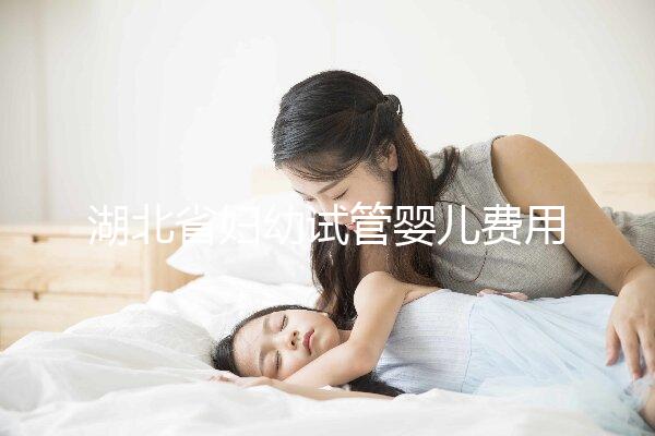 湖北省婦幼試管嬰兒費用指南,單次助孕收費標準參考