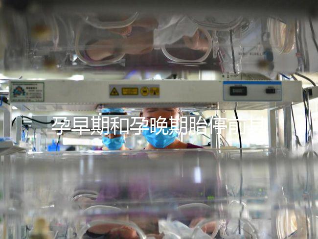 孕早期和孕晚期胎停前其實都有暗示信號，身體不會騙人