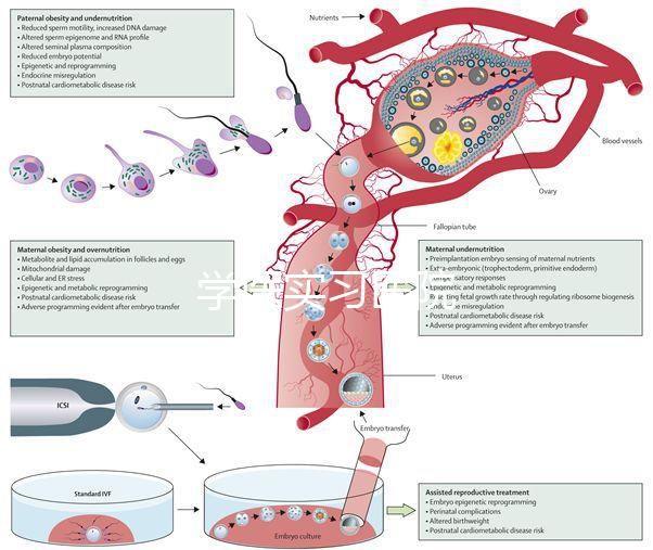 學醫(yī)實習醫(yī)院