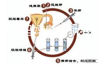 寶寶到媽媽身上就要吃解決方法來了，奶瓶作用大別忽略