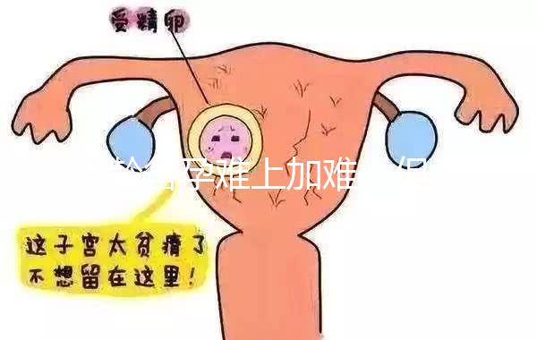 大齡備孕難上加難,但為什么越年輕的女性越容易懷孕?