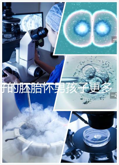 好的胚胎懷男孩子更多,驚呀!什么時(shí)候質(zhì)量決定性別了