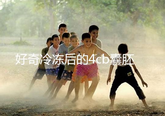 好奇冷凍后的4cb囊胚移植幾天著床看這，第七天別還不敢測(cè)